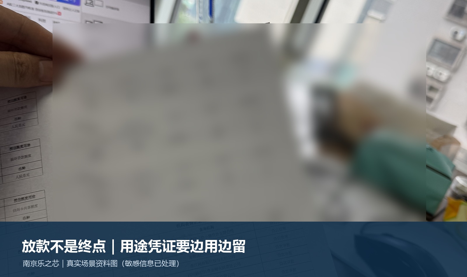 真实资料核对场景，涉及机构、额度和查询信息的内容已做模糊处理